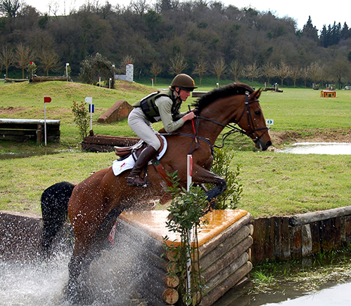 SPORT EQUESTRI: IMPORTANTI CHIARIMENTI FISCALI